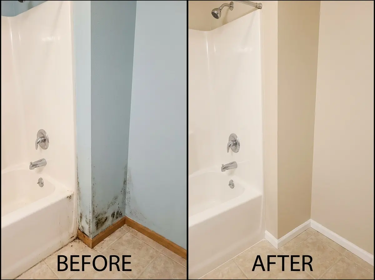 Before and after mold removal — Marietta, GA