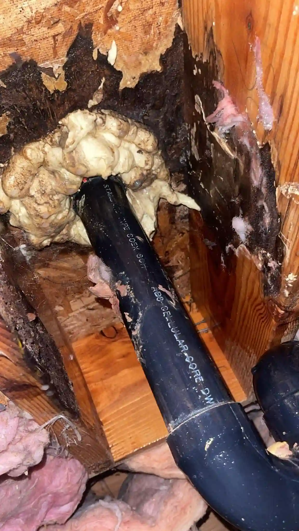 Crawl space water damage services in Marietta